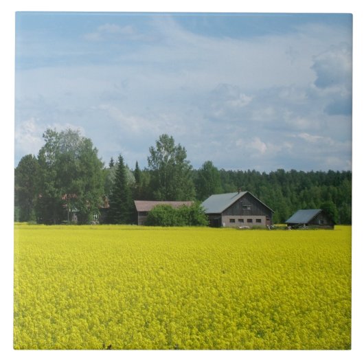 Carreau Tuile de campagne finlandaise (Devant)