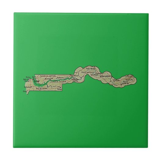 Carreau Tuile de carte de Gambie (Devant)