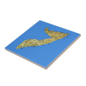 Carreau Tuile de carte de la Somalie (Côté)