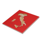 Carreau Tuile de carte de l'Italie (Côté)