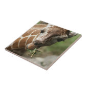 Carreau Tuile de casse-croûte de girafe (Côté)