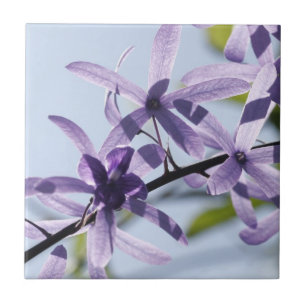 Carreau Tuile de céramique à fleurs violettes