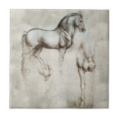 Carreau Tuile de cheval de da Vinci (Devant)