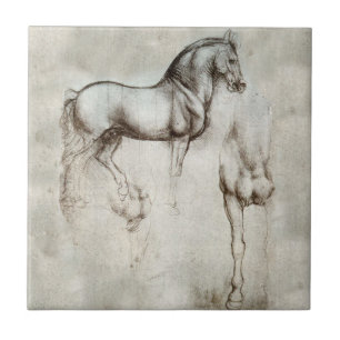 Carreau Tuile de cheval de da Vinci