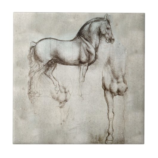 Carreau Tuile de cheval de da Vinci (Devant)
