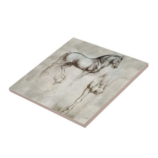 Carreau Tuile de cheval de da Vinci (Côté)