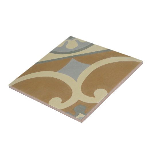 Carreau Tuile de ciment d'Encaustic de reproduction sur en (Côté)