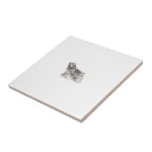 Carreau Tuile de cocker (Côté)