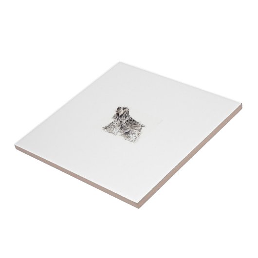 Carreau Tuile de cocker (Côté)