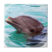 Carreau Tuile de conception de dauphin (Devant)