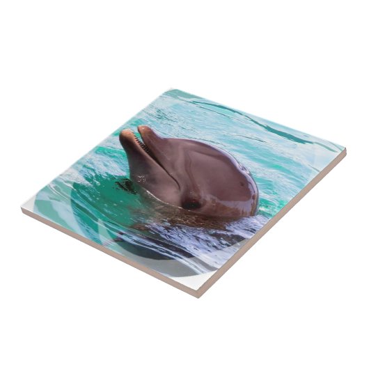 Carreau Tuile de conception de dauphin (Côté)