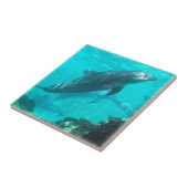 Carreau Tuile de dauphin de natation (Côté)