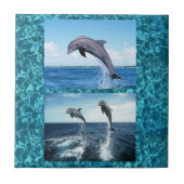 Carreau tuile de dauphins (Devant)