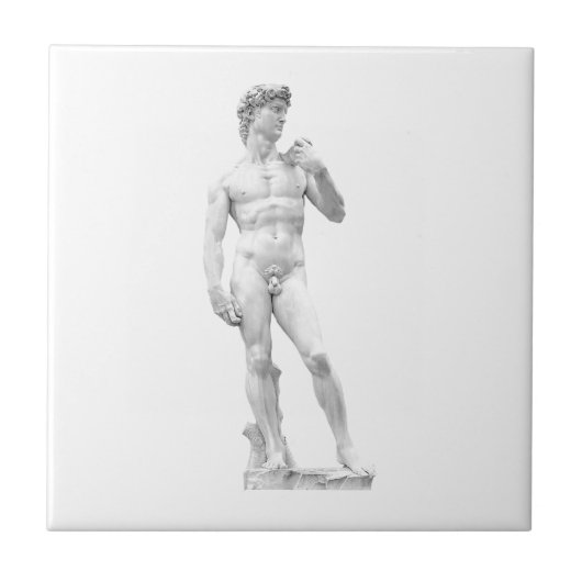 Carreau Tuile de David (Devant)