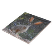 Carreau Tuile de faune, en céramique, lapins, lièvre (Côté)