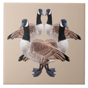 Carreau Tuile de faune, en céramique, oiseaux, oies, oie