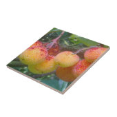 Carreau Tuile de fraise à fruits (Côté)