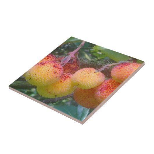 Carreau Tuile de fraise à fruits (Côté)