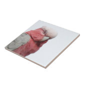 Carreau Tuile de Galah (Côté)