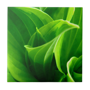 Carreau Tuile de Hosta