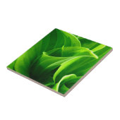 Carreau Tuile de Hosta (Côté)