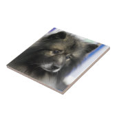 Carreau Tuile de Keeshond (Côté)