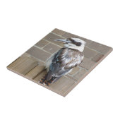 Carreau Tuile de Kookaburra (Côté)