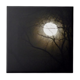 Carreau Tuile de lever de la lune