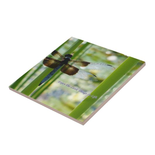 Carreau Tuile de libellule (Côté)