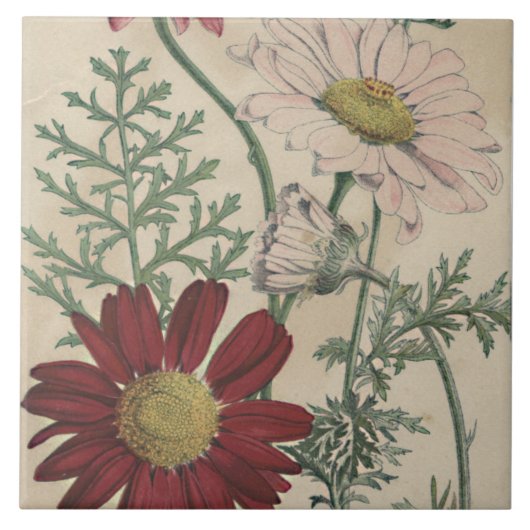 Carreau Tuile de marais Vintage et élégant (Devant)