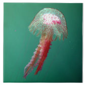 Carreau Tuile de méduses de méduse (Devant)