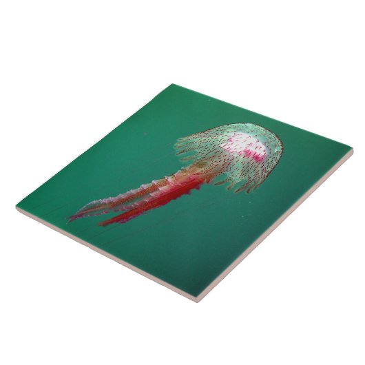 Carreau Tuile de méduses de méduse (Côté)