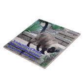 Carreau Tuile de mémoire pour animaux de compagnie, Cat de (Côté)