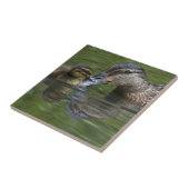 Carreau Tuile de mère et de caneton (Côté)