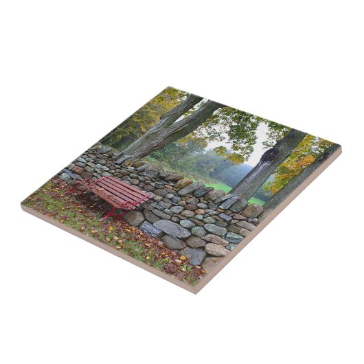 Carreau Tuile de mur en pierre (Côté)