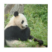 Carreau Tuile de panda (Devant)