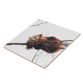 Carreau Tuile de panda rouge/Trivet (Côté)