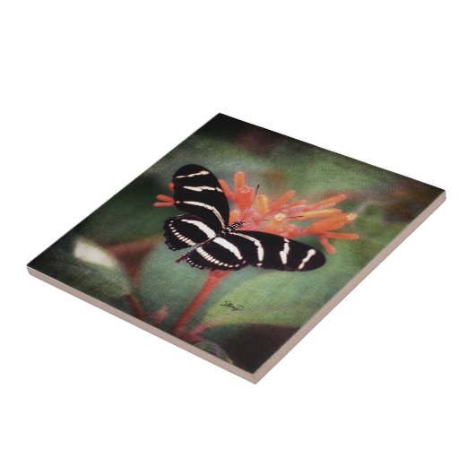 Carreau Tuile de papillon (Côté)