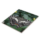 Carreau Tuile de papillon de chaux et de fleurs (Côté)