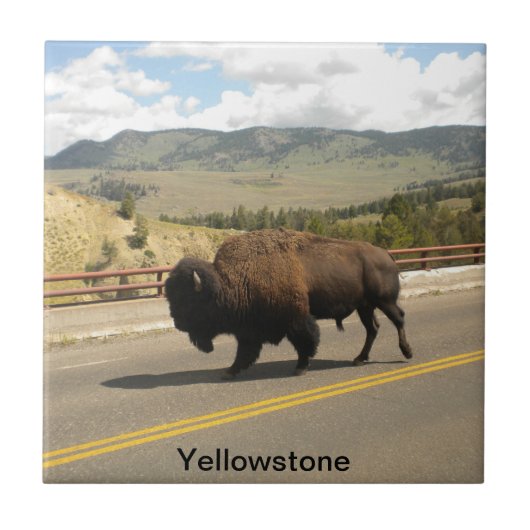 Carreau Tuile de parc national de Yellowstone (2) (Devant)