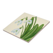 Carreau Tuile de perce-neiges (Côté)