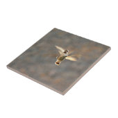Carreau Tuile de photo de colibri ! (Côté)