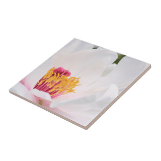 Carreau Tuile de pivoine
