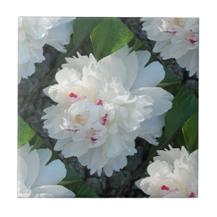 Carreau Tuile de pivoine multicouche