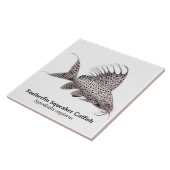 Carreau Tuile de poisson-chat de Synodontis Eupterus (Côté)