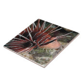 Carreau Tuile de poissons de lion (Côté)