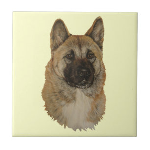 Carreau Tuile de portraits de chiens akita japonais/améri