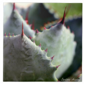 Carreau Tuile de potatorum d'agave (Devant)