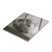 Carreau Tuile de rat (Côté)