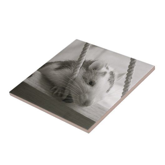 Carreau Tuile de rat (Côté)